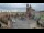 Webcam in Krakau (Krakow), 0.2 km entfernt