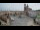 Webcam in Krakow, 0.2 mi away
