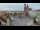 Webcam in Krakow, 26.6 mi away