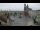 Webcam in Cracovie (Krakow), 0 km