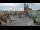 Webcam in Cracovia, 0.2 km