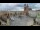 Webcam in Cracovie (Krakow), 254.6 km