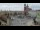 Webcam in Krakau (Krakow), 0.2 km