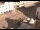 Webcam in Eichstätt, 8.1 mi away
