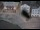 Webcam in Eichstätt, 7.9 mi away