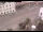 Webcam in Eichstätt, 46.1 km