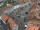 Webcam in Osterode am Harz, 15.1 km entfernt
