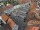 Webcam in Osterode am Harz, 19.8 mi away