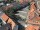Webcam in Osterode am Harz, 31 km