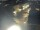 Webcam in Osterode am Harz, 31.6 km entfernt