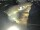 Webcam in Osterode am Harz, 11.9 mi away