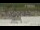Webcam in Concord, Massachusetts, 10.3 mi away