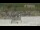 Webcam in Concord, Massachusetts, 62 km