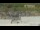 Webcam in Concord, Massachusetts, 10.2 mi away