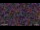Webcam in Concord, Massachusetts, 15.5 mi away
