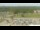 Webcam in Concord, Massachusetts, 9.9 mi away
