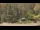 Webcam in Bethlehem, Connecticut, 16 mi away