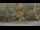 Webcam in Bethlehem, Connecticut, 49.1 km entfernt