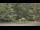 Webcam in Bethlehem, Connecticut, 73.4 mi away