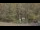 Webcam in Bethlehem, Connecticut, 19.6 mi away