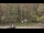 Webcam in Bethlehem, Connecticut, 46 km entfernt