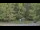 Webcam in Bethlehem, Connecticut, 102 km