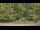 Webcam in Bethlehem, Connecticut, 7.4 mi away