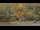 Webcam in Bethlehem, Connecticut, 44.9 km