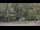 Webcam in Bethlehem, Connecticut, 17.2 mi away