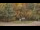 Webcam in Bethlehem, Connecticut, 17.6 mi away