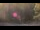 Webcam in Bethlehem, Connecticut, 59 km entfernt