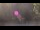 Webcam in Bethlehem, Connecticut, 136.5 km entfernt