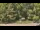 Webcam in Bethlehem, Connecticut, 124.5 km