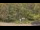 Webcam in Bethlehem, Connecticut, 143.7 km