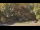 Webcam in Bethlehem, Connecticut, 17.2 mi away