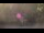 Webcam in Bethlehem, Connecticut, 50.5 km