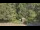 Webcam in Bethlehem, Connecticut, 13.2 km entfernt
