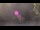 Webcam in Bethlehem, Connecticut, 19.6 mi away