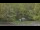 Webcam in Bethlehem, Connecticut, 44.6 km