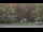 Webcam in Bethlehem, Connecticut, 33.4 km entfernt
