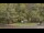 Webcam in Bethlehem, Connecticut, 18 mi away