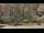 Webcam in Bethlehem, Connecticut, 44.5 km