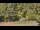 Webcam in Bethlehem, Connecticut, 55.4 mi away