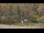 Webcam in Bethlehem, Connecticut, 48 mi away