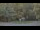 Webcam in Bethlehem, Connecticut, 33.4 km