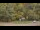 Webcam in Bethlehem, Connecticut, 25.1 mi away