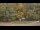 Webcam in Bethlehem, Connecticut, 122.8 km