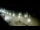 Webcam in Ocean City, Maryland, 444.9 mi away