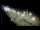 Webcam in Ocean City, Maryland, 444.9 mi away