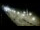 Webcam in Ocean City, Maryland, 444 mi away